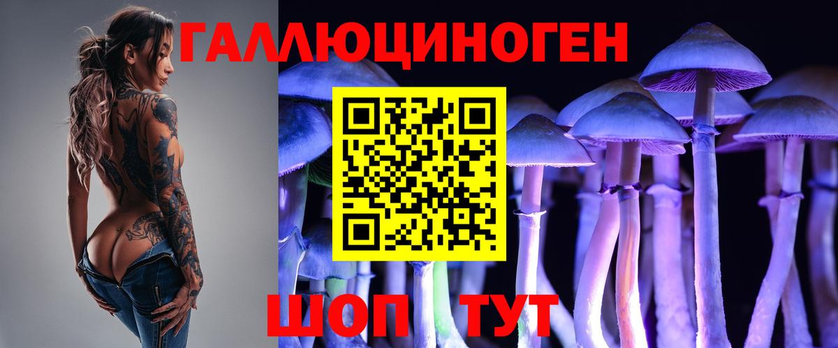 Галлюциногенные грибы Psilocybe  Вход с VPN  Галлюциногенные грибы прущие грибы  Вышний Волочёк 