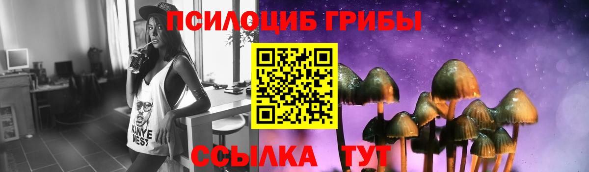 Галлюциногенные грибы прущие грибы Вышний Волочёк